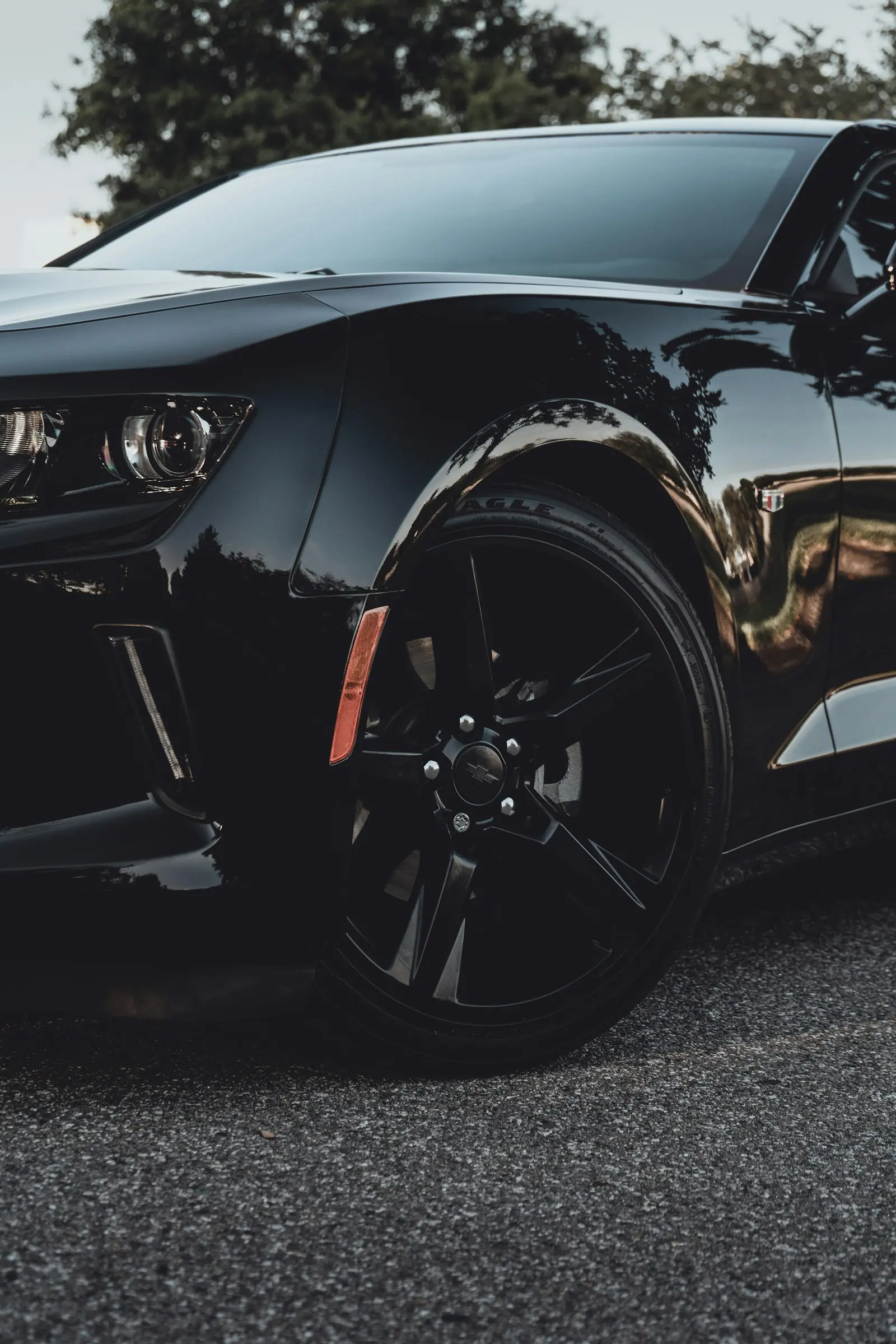 Black car body side and wheel arch in low light